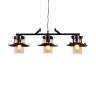 Подвесной светильник Capri LDP 11328-3 PR BK