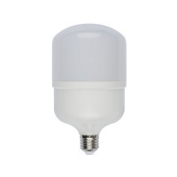 Лампочка светодиодная  LED-M80-25W/NW/E27/FR/S картон