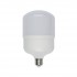 Лампочка светодиодная  LED-M80-25W/NW/E27/FR/S картон