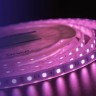 Светодиодная лента LUX DSG560-12-RGB-65