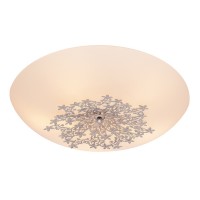 Настенно-потолочный светильник Verbena 836.50.5