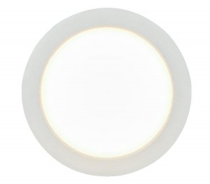 Потолочный светильник уличный Polly 12395-24