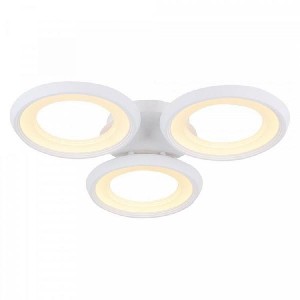 Потолочная люстра Blis FR6010CL-L51W