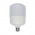 Лампочка светодиодная  LED-M80-30W/DW/E27/FR/S картон