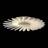 Потолочная люстра Girasole SL836.502.24