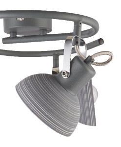 Спот Daisy 54658-3