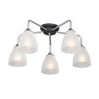 Потолочная люстра  V4500-9/5PL