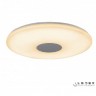 Потолочный светильник Jupiter 24W-Opaque-Entire