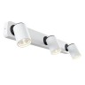 Спот Alliot SP317-CW-03-W