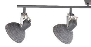 Спот Daisy 54658-4