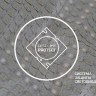 Потолочный светильник Orbital Crystal Sand FS1232 SD 48W D480