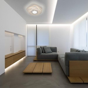 Потолочный светильник Salient 90152/6