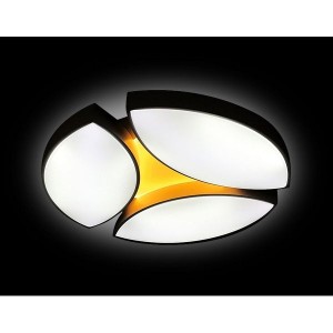 Потолочная люстра Orbital Granule FG2070 WH 108W+16W D680