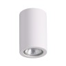 Точечный светильник Gips 3553/1C