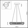 Подвесной светильник Fire Ring 3863/61L