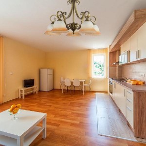 Подвесная люстра Carina Carina E 1.1.5 GB