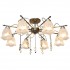 Потолочная люстра Delia TL1195X-08AB