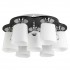 Потолочная люстра Marsha TL2680X-07WC