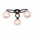 Потолочная люстра Philomena TL3730X-03BC