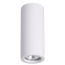 Точечный светильник Gips 3554/1C
