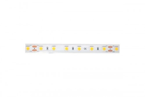 Светодиодная лента LUX DSG560-24-NW-65
