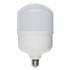 Лампочка светодиодная  LED-M80-40W/DW/E27/FR/S картон