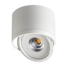 Точечный светильник GESSO 357583