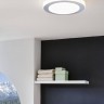 Настенно-потолочный светильник Led Carpi 95283