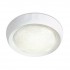 Потолочный светильник Orbital Crystal Sand FS1240 WH/SD 48W D500