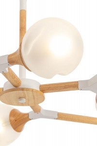 Потолочная люстра Amy FR5105CL-06W