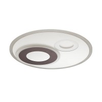 Потолочный светильник Ledio 4501/85CL