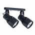 Спот Lyra A6252PL-2BK