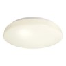 Потолочный светильник Euro LED 348018