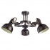 Потолочная люстра Martin A5216PL-3BR