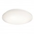 Потолочный светильник Euro LED 348021