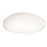 Потолочный светильник Euro LED 348021