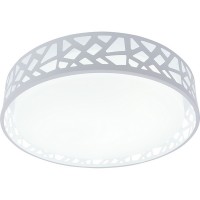 Потолочный светильник Leone TL1205X-72WH