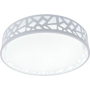 Потолочный светильник Leone TL1205X-72WH