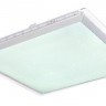 Потолочный светильник Rena 48380RGB