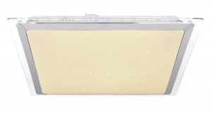 Потолочный светильник Rena 48380RGB