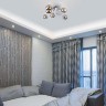 Потолочная люстра Evita 30140/6