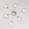 Потолочная люстра Vivien 30163/6