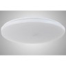 Настенно-потолочный светильник Bianco Bianco E 1.13.49 W