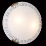 Настенно-потолочный светильник Greca 361