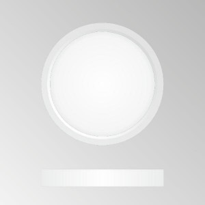 Потолочный светильник Бейсик CL738120N