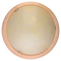Настенно-потолочный светильник Jane TL9640Y-00PN