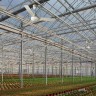 Потолочный вентилятор Nordik International Plus 120/48 61711VRT