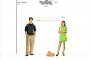 Потолочная люстра Тетро 673011508