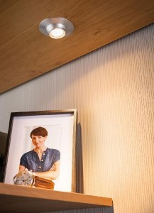 Точечный светильник 93579