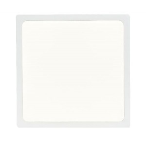 Потолочный светильник Alena 12365-22